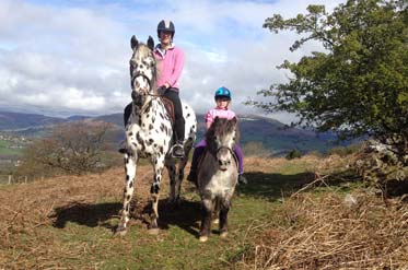 Horse Riding & Pony Trekking Abergavenny